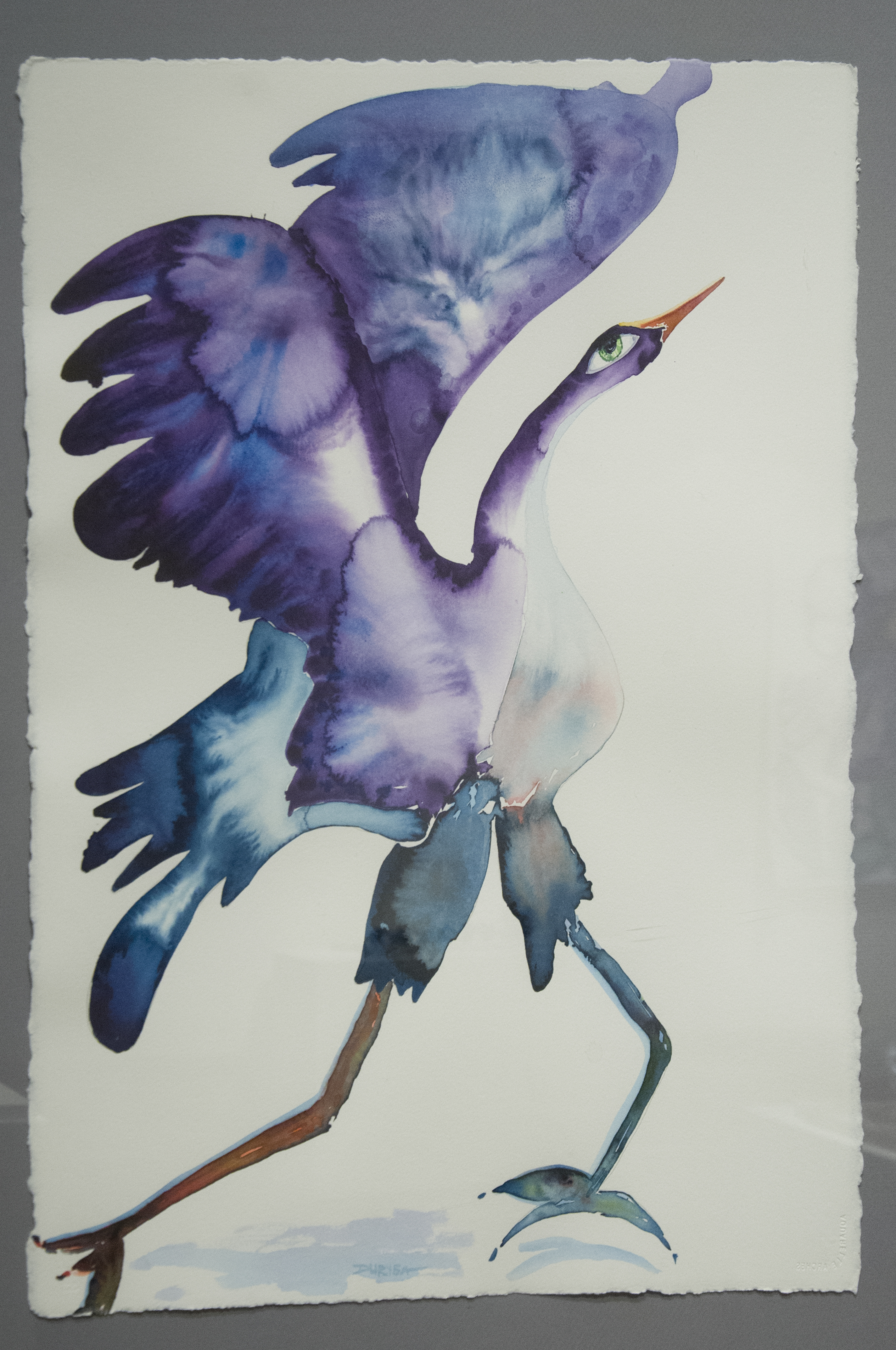 Photo of Art